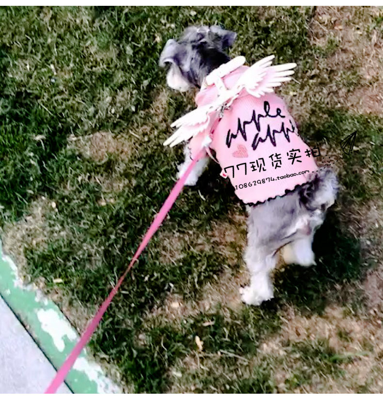 Wei Mi dễ thương chuỗi xích chó chó xích nhỏ và vừa chó thiên thần cánh ngực dây đeo mèo chuỗi chó cổ - Cat / Dog hàng ngày Neccessities Hộp đựng thức ăn cho chó