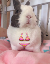 Qiqi's family entered the VIP welfare area of the store today to contact the manager of the store free of mail only one can be selected and not sent alone.