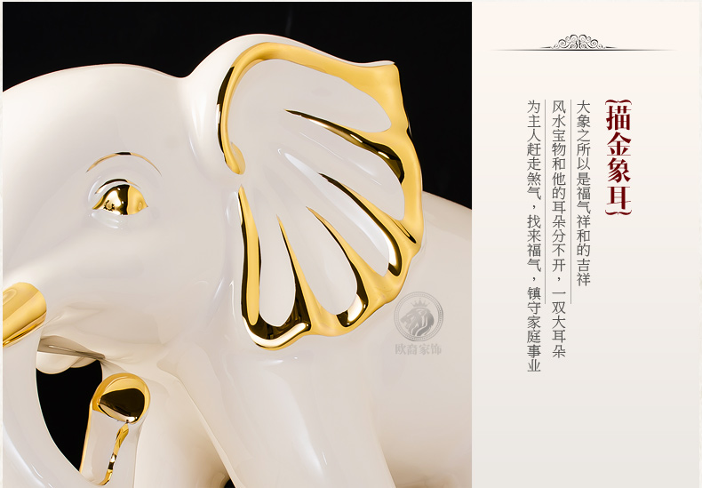 象_13.jpg