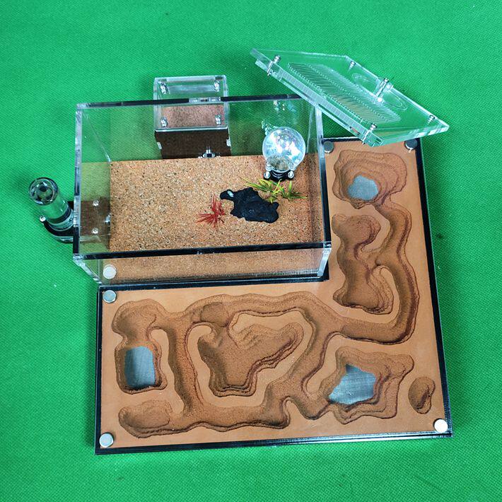 Ant Castle CC Pet Ant - Next Ant Ecological Ant - Nest Ant - Workshop Ant - House