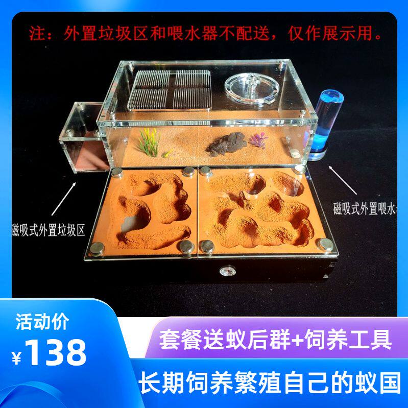 Ant Castle S Ant Imperial Home Castle Home Castle Ecology Student ants Nest Pet Living Ants back Box