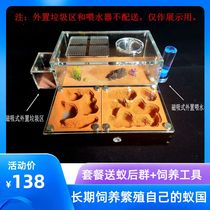Ant Castle S ant Empire workshop home Castle ecological student ant nest village pet living Queen box