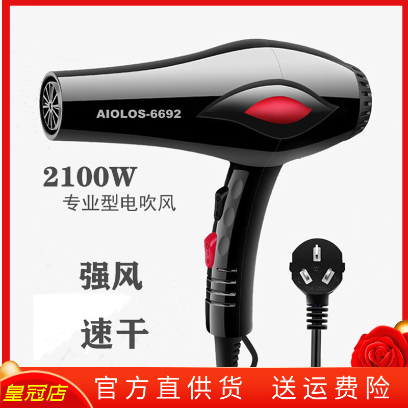 Blow Hair Dryer Home Hair Dryer High Power Large Wind Hair Dryer Student Dorm Hair Salon Hair Stylist Special