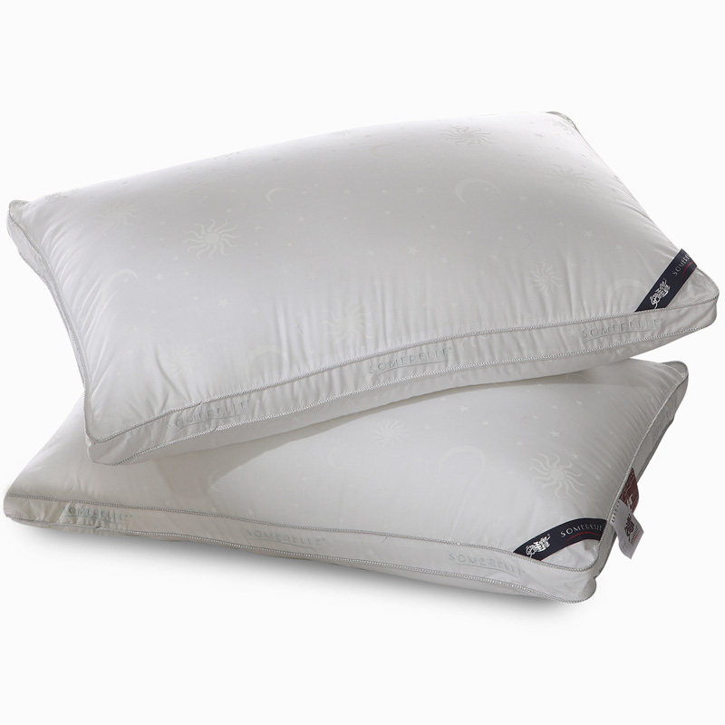 ��˯����ͷ��оS00183AC