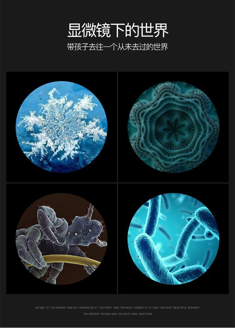 儿童1200倍数显微镜 4-16岁 图6