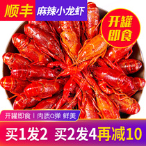 Suzhou Yangcheng Lake crayfish 300g boxed cooked food spicy instant stewed prawns garlic shrimp tail heated ready-to-eat
