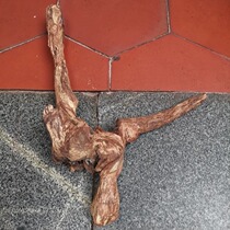 895 -- The downpour is expected to weigh 1 5 kilos