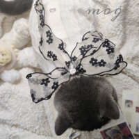 Черный бархатный свитер с бантиком