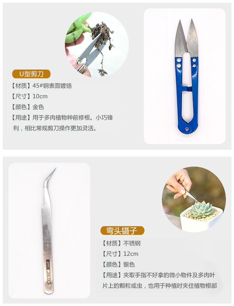 Trồng rau mọng nước trong chậu đặt hoa gia đình ba mảnh trồng hoa dụng cụ làm vườn cung cấp xẻng nhỏ vòi tưới cây phun sương