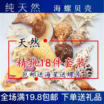 Natural Shell Conch Starfish Coral Snail Set Fish Tank Landscape Decoration Hermit Crab Replacement Shell