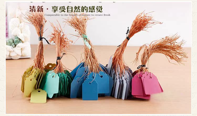 Dụng cụ làm vườn 4 * 6cm [tag] nhãn hoa giống rau với thẻ dây sỏi trồng cây
