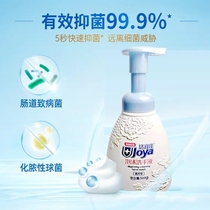 Foam type left hand sanitizer oem non-alcohol mild moisturizing fragrance hand sanitizer oem