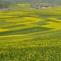 门源特产梅花村电商服务店