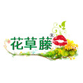 花草藤特价店