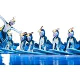 Одиннадцатый маленький лотос в стиле лотоса серфинга пингвин