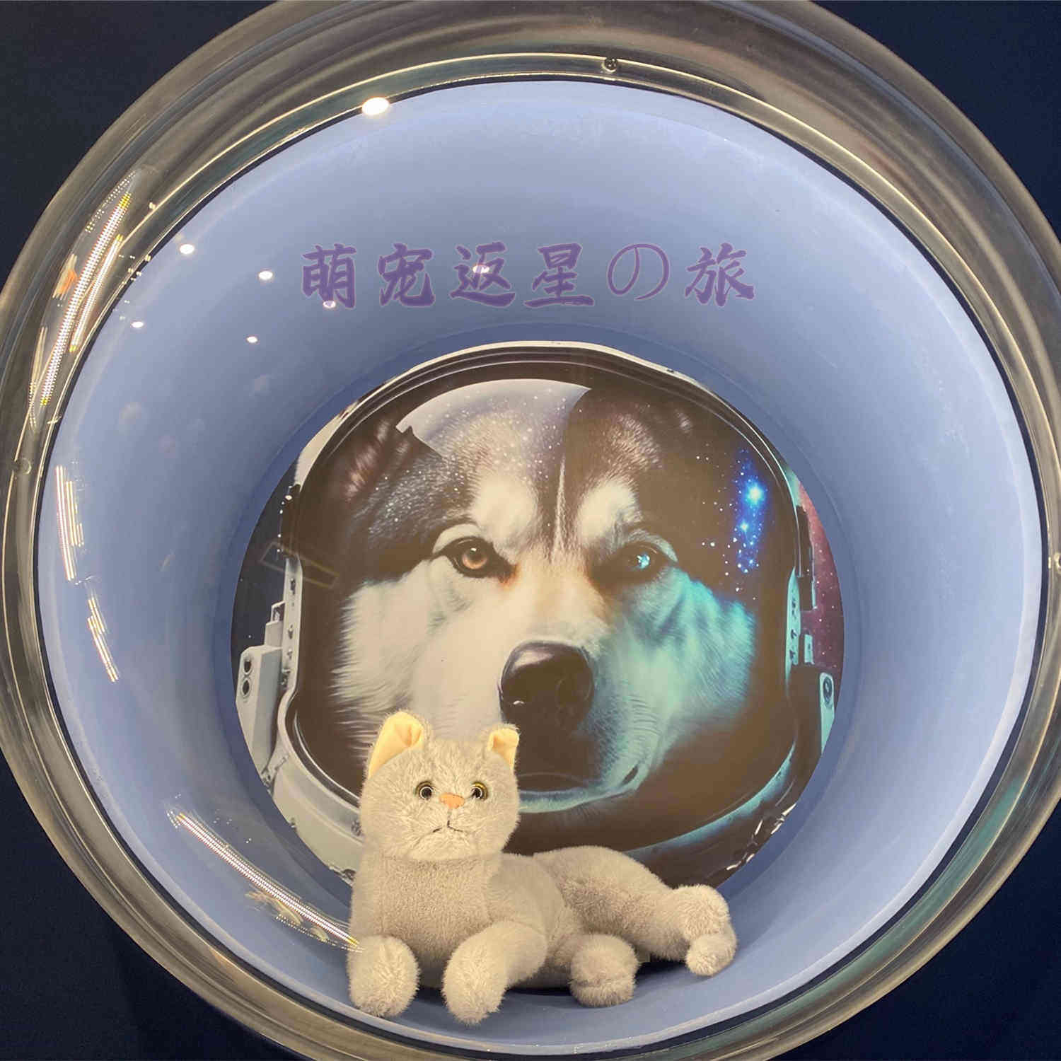 宠萌返星の旅的LOGO