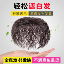 Live-action haircut head Hair Tonic for short curly hair Corn Scalding Hair block in old age Mom wig sheet Hair Shade White Hair