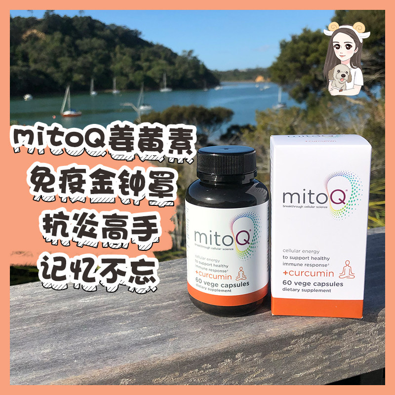 New Zealand MitoQ Curcumin Q10 Coenzyme Capsules Cognitive Immunitis Brain Australia