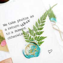 Fire Paint Dry Flowers Fire Lacquer Seal Decoration Material Ins Wind Nordic Plant Please Post Envelope Gift Handmade Seal Wax Print