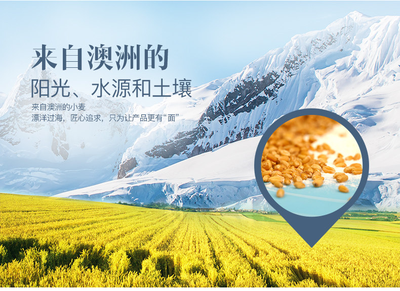 金沙河 澳麦饺子粉 5kg 图2