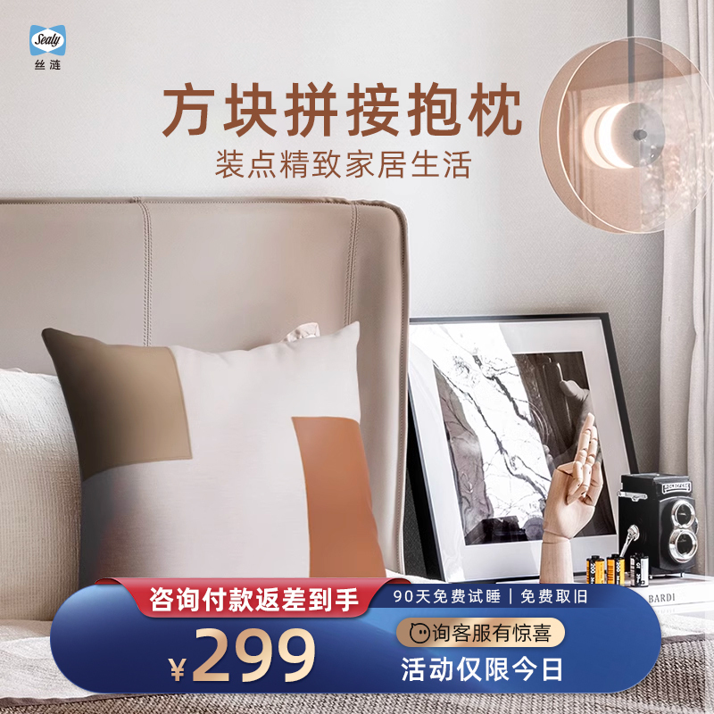 Sealy/Silky Square Stitched Throw Pillow【Us Review】