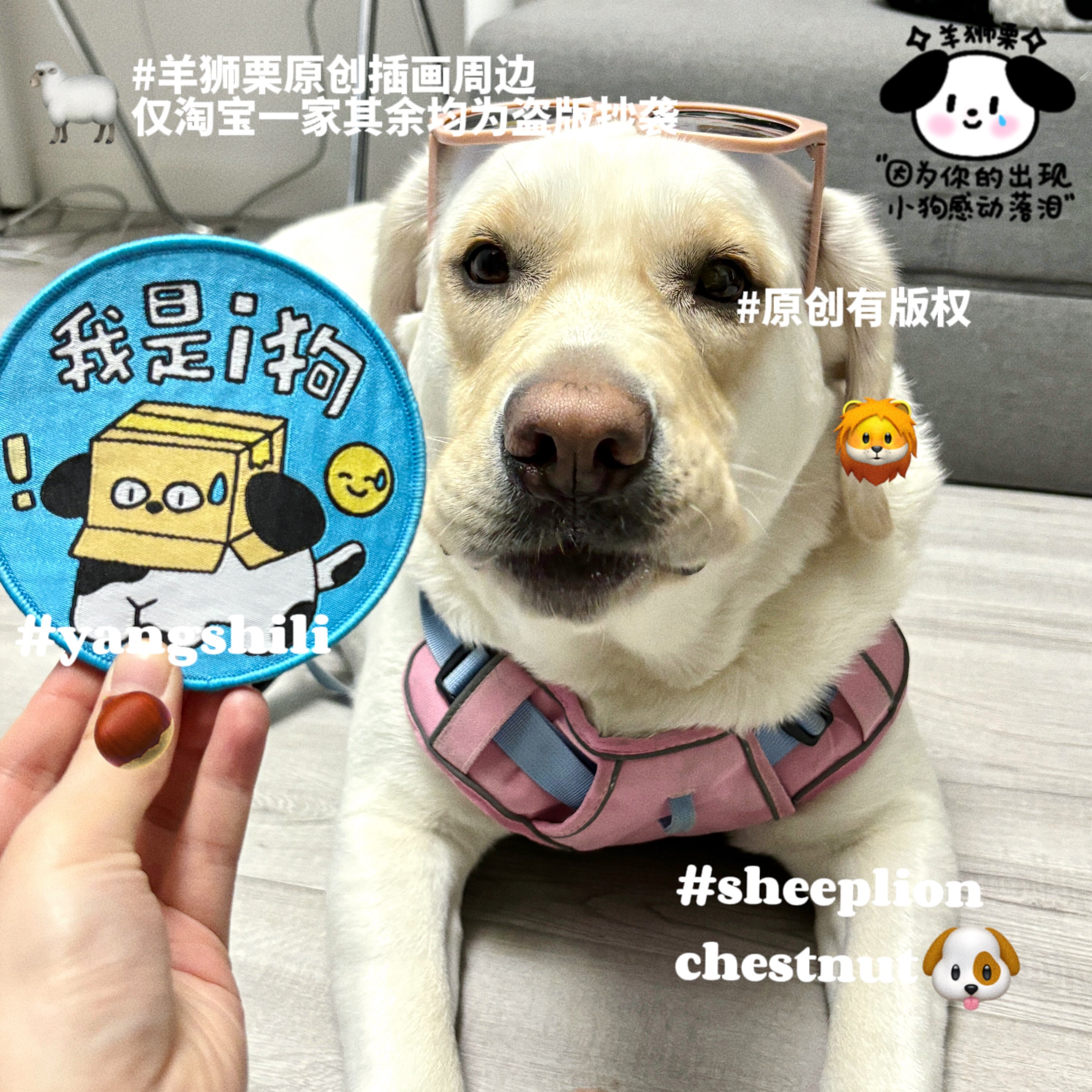 🐾汪星人的时尚配饰！羊狮栗原创狗牌牵引绳，让爱宠出门更潮流！🌈-挂饰/挂牌-淘宝好物网