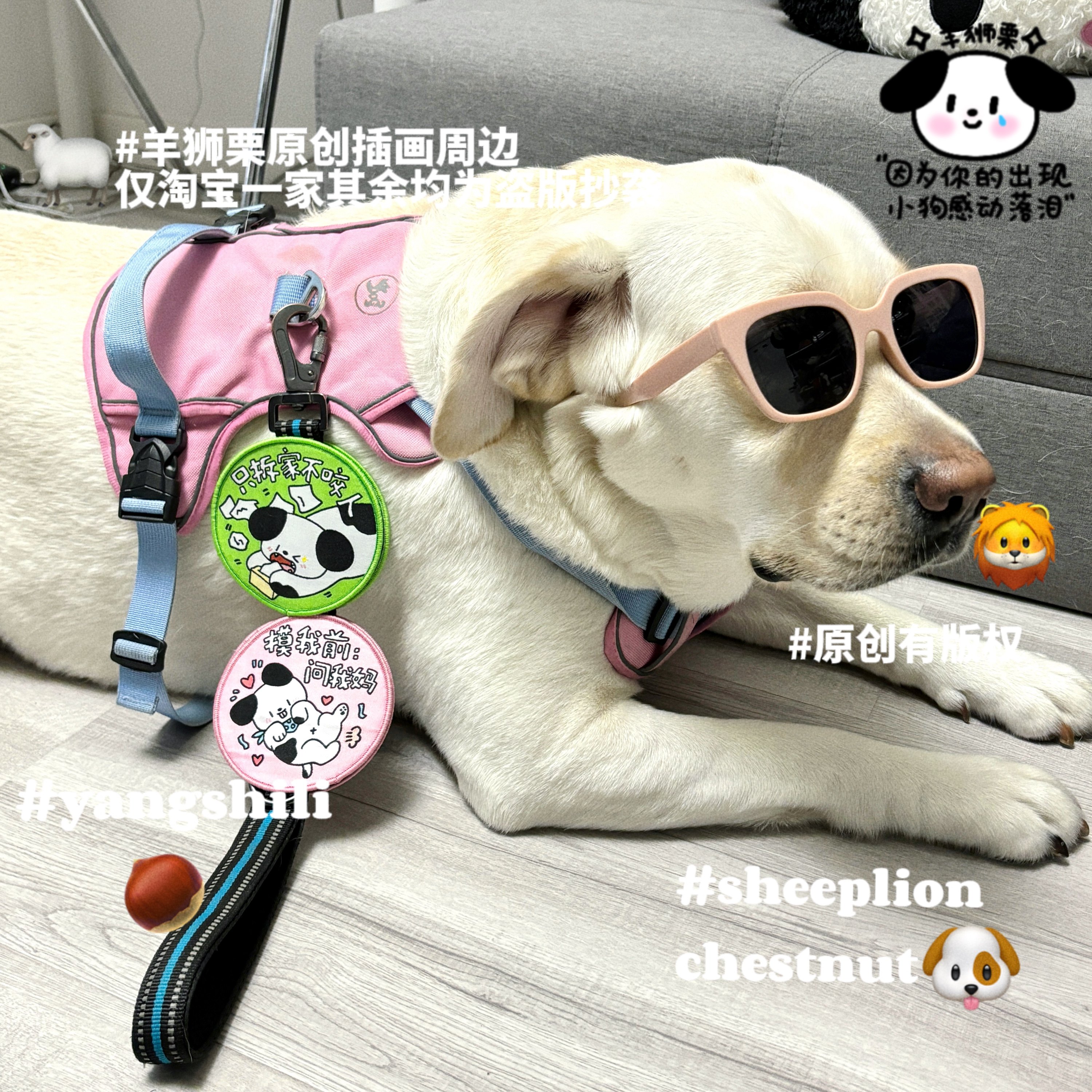 羊狮栗狗牌牵引绳社交贴太绝了！宠物主必看！这波不买亏大了😭-挂饰-淘宝百科网