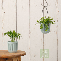 Japan imports INOATA hanging basket flower basket Flower Pots Pendant flower pots Shelf hanging hanging hanging flower basket rack