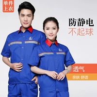 Короткие рукава синего цвета + логотип (сверху)