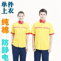 Чистый хлопок Petroleum с короткими рукавами (верх)