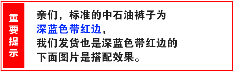 Vêtement de travail en coton - Ref 1911695 Image 22