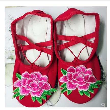Dance Shoes for Women, Soft-Soled Shoes for Kidsren and Adults, Ballet Practice Cat Claw Shoes for Boys, Professional Dance Shoes for Chinese Dance