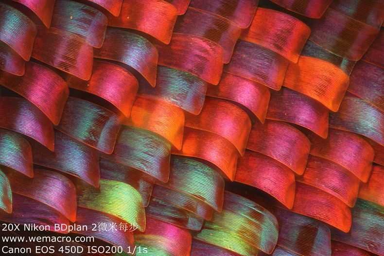 TB2UbhFjpXXXXb5XXXXXXXXXXXX !!24386836