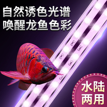 Fish tank lamp aquarium led tube lighting lamp energy-saving waterproof landscaping gold red dragon fish special diving lamp color enhancement