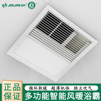 Golden Antelope Warm Bath Bully Integrated Ceiling Bathroom Suction Top Flush Mounted Warm Air-warm Dual-use NF-20T-33