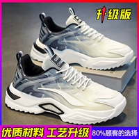 Основная модель изображения обновляет белые и черные