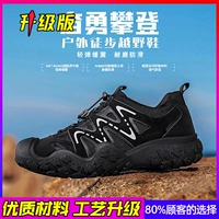 Черный, модернизированная версия