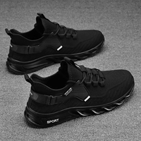 2262 черно -белый