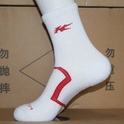 Giày thể thao chuyên nghiệp chính hãng Kaisheng Li Ning vớ cotton vớ cầu lông vớ ống ngắn 5 đôi