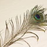 Симуляция павлина перья моделирование цветочный фальшивый цветок шелк цветок дома украшения гостиной обеденный стол полет сухой цветок