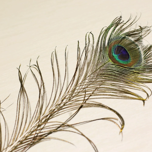 Симуляция павлина перья моделирование цветочный фальшивый цветок шелк цветок дома украшения гостиной обеденный стол полет сухой цветок