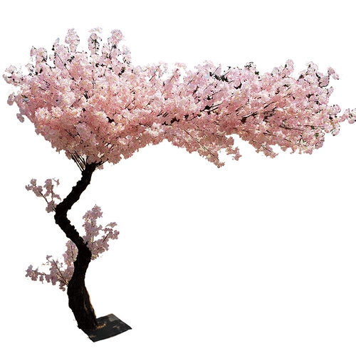 Моделирование вишневого дерева моделирование дерева персика