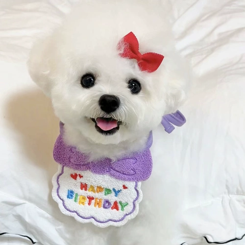 Нагрудник, шапка, слюнявчик, милый шарф, аксессуар для волос, наряжаться