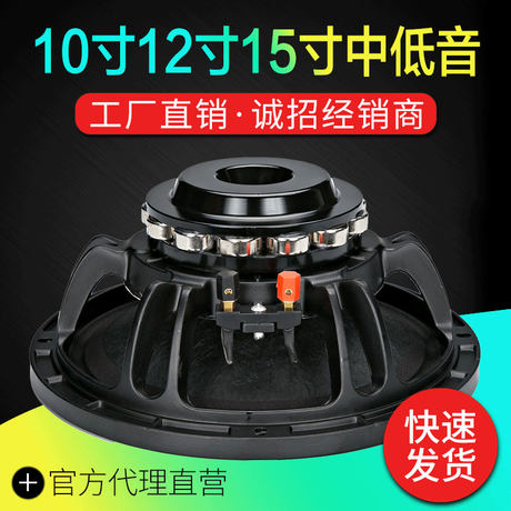 15 inch neodymium speaker