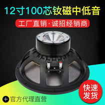 12 inch 100 core 500W waterline array bass rubidium Magnetic horn KTV Di Bar Music Bar full frequency speaker