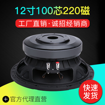 2020 2020 new 12 12 inch 100 100 220 Magnetic medium bass Speaker Speaker Passive Bass Horn Aluminum Basin Rack
