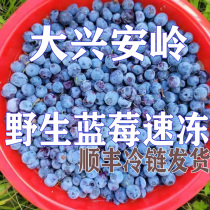 Daxinganling wild blueberry natural persimmon quick-frozen antioxidant improves vision anthocyanin milk tea shop juice SF