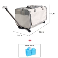 Хэтчбек с рисом серого цвета+6 прокладки мочи могут быть разделены хэтчбеком