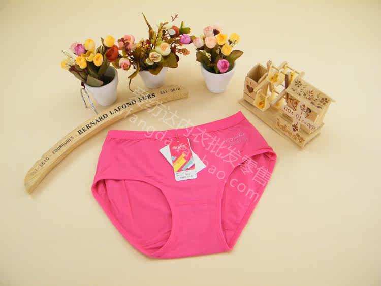 Slip - Ref 646679 Image 18