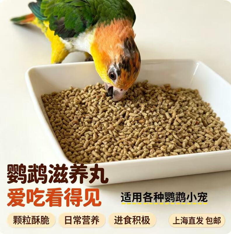 High-Energy Nourishing Pills for Small and Medium-Sized Parrots, High-Protein Multi-Dimensional Nutrition, Harrison Alternative Nourishing Pills, Keke Amazon High-Energy Nourishing Pills for Small and Medium-Sized Parrots, High-Protein Multi-Dimensional Nutrition, Harrison Alternative Nourishing Pills, Keke Amazon